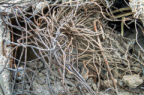 minoteries-15