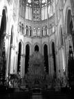 cathedral-dedans3